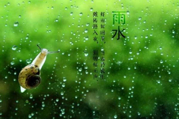 雨水节气一定会下雨吗 雨水节气有什么说法