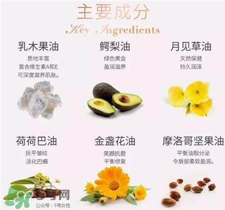 Antipodes口红好用吗?Antipodes口红怎么样?