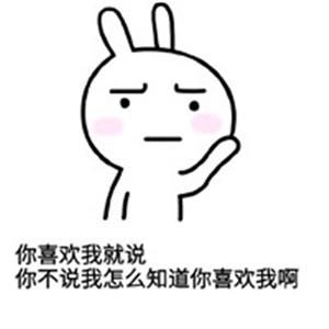 1551771975155907.jpg