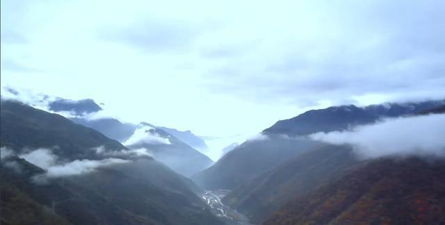 感受山林美食，李子柒隐居四川平武，发扬古典文化
