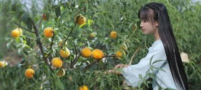 ​感受山林美食，李子柒隐居四川平武，发扬古典文化