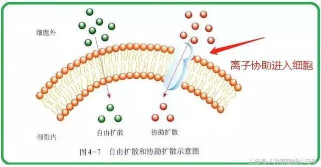 泰国ray面膜，含重金属却依旧火爆全网？！