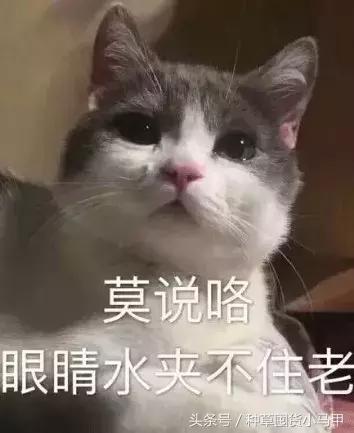 泰国ray面膜，含重金属却依旧火爆全网？！
