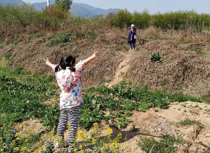 春天来了，西安周边这4大草莓采摘胜地不容错过，最低只需10元1斤