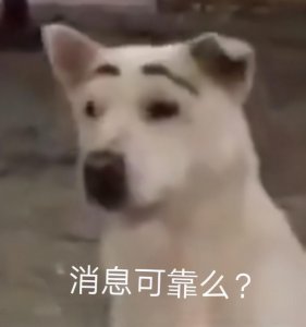 ​表情包：快点哄我好不好