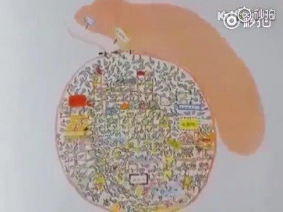 ​分享一个很棒的儿童性教育视频——小威向前冲……