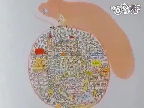 分享一个很棒的儿童性教育视频——小威向前冲……