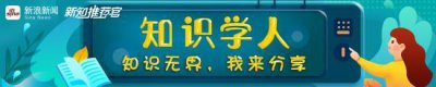 ​我为什么看好金桥板块