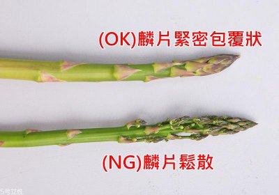 ​新鲜芦笋怎么处理与保存