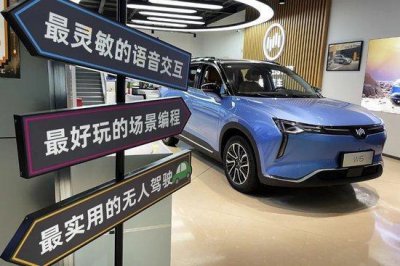 ​威马穷途末路，谁来救救车主