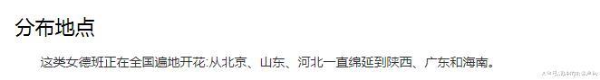 记者卧底女德班, 揭露真相: 她们正在把魔爪, 伸向未成年