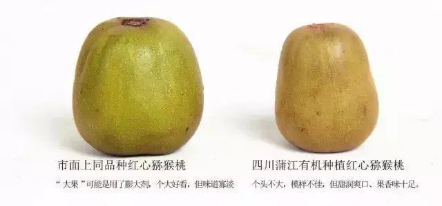 柔嫩多汁！四川蒲江红心猕猴桃上市尝鲜！￥29.9=12枚！