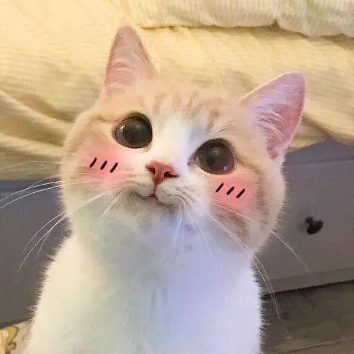 柔嫩多汁！四川蒲江红心猕猴桃上市尝鲜！￥29.9=12枚！