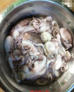 ​八爪鱼的做法（清蒸）