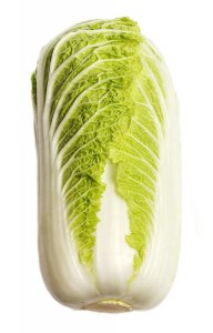 ​春天种什么蔬菜有哪些