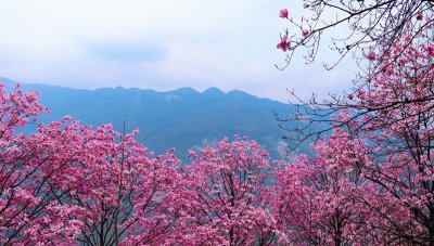 ​不负初冬去旅行，爬山吸氧泡温泉，一次收获冬季诱惑的九皇山之旅