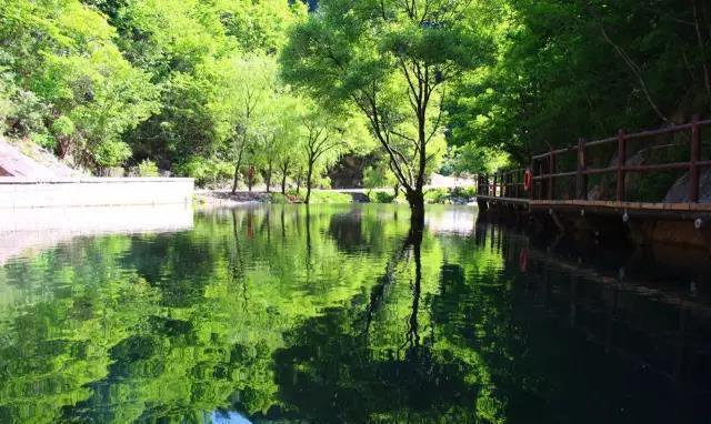 栾川包下整条高速，对全国自驾车免费
