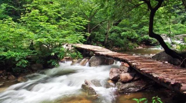 栾川包下整条高速，对全国自驾车免费