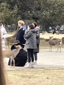 ​鹿晗关晓彤和陈赫夫妇日本度假，抽烟惹争议，网友：鹿被带坏了？
