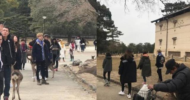 鹿晗关晓彤和陈赫夫妇日本度假，抽烟惹争议，网友：鹿被带坏了？
