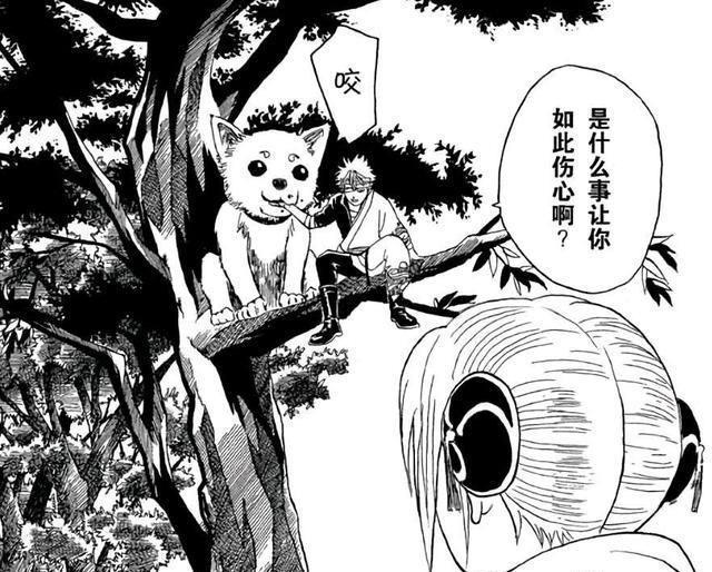 银魂：巨型生物“定春”登场，吃我一“撒娇”，把你头给咬掉！
