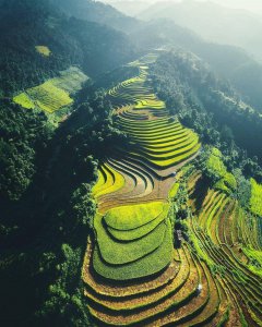 ​我见青山多妩媚，料青山见我应如是。——辛弃疾