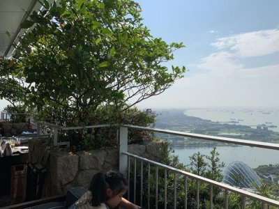​游览 东南亚 新加坡 滨海湾金沙空中花园