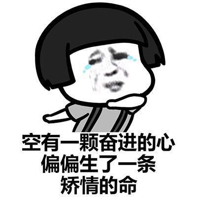 搞笑我开心就好, 你管不着表情包, 空有一颗奋进的心