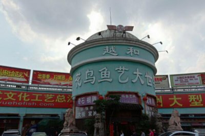 ​全国十大花鸟鱼虫市场，中环花鸟鱼虫市场榜上有名
