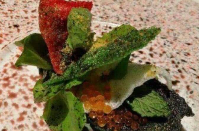 又贵又吃不饱的米其林餐厅，一顿饭花几千块，一般人根本吃不起