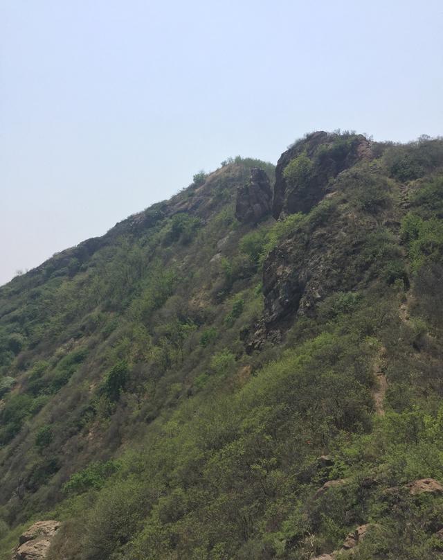 邹平鹤伴山游记