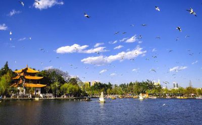 ​中国最凉快的十大城市：春城昆明荣登第一宝座