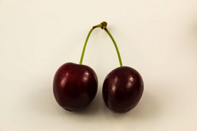 ​冬季移栽樱桃树的方法