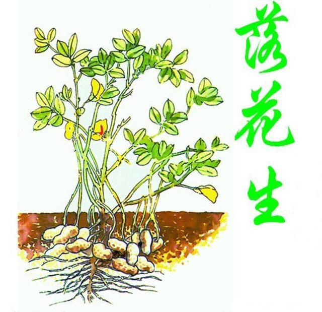上海大学生对对联 要求顺念倒念都一样 结果是扫地大妈对絶啦