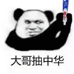 大哥抽烟套图表情包