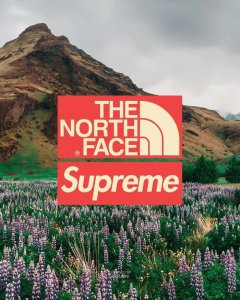 ​大量取消发售！「Supreme x 北面TNF」新联名计划曝光了~