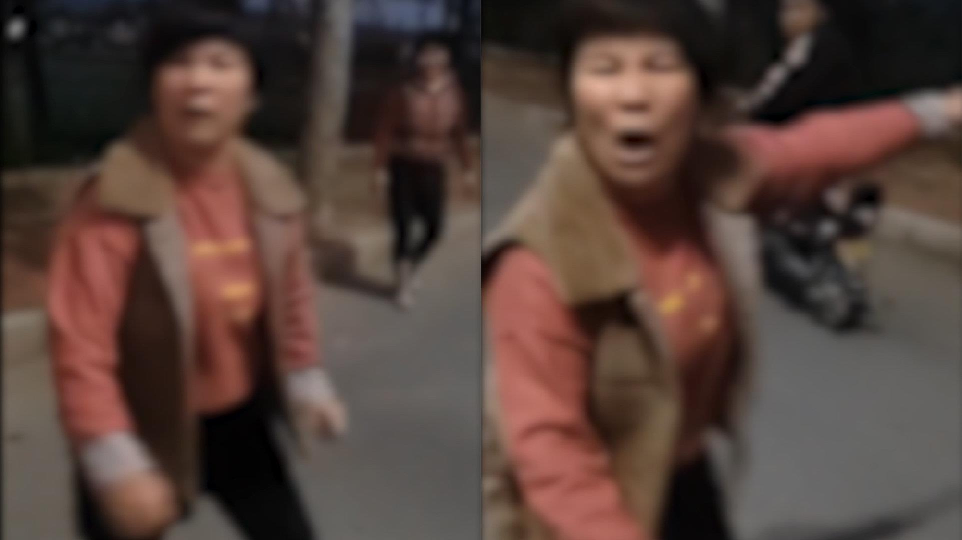 大妈组团偷菜被抓现行反殴打菜主，拿各种东西往身上砸