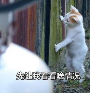 ​大佬来了表情