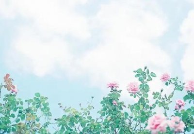 ​密码锁定必须去银行解锁吗？手机银行登录密码被锁定了怎么办？