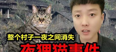 ​陕西夜狸猫事件（陕西夜狸猫事件经过）