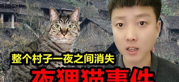 陕西夜狸猫事件（陕西夜狸猫事件经过）