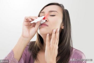 ​纯种的沙皮狗，纯种沙皮狗
