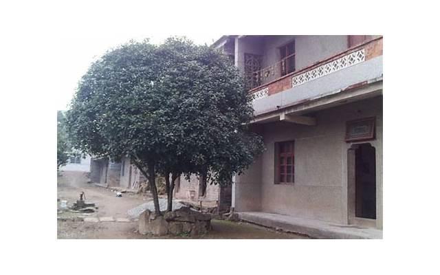男人出轨是什么原因造成的（男人出轨一般都是因为这5个原因）