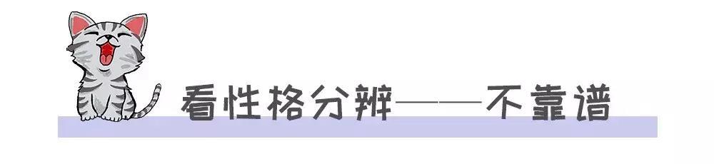 家养的猫和宠物猫有什么区别（你居然还不知道你家主子是公是母） 8