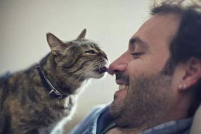 ​我们该怎么给猫咪剪指甲？新手该怎么样给猫咪剪指甲？