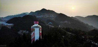 ​鸡年茅台加大供应  茅台年份酒鸡年