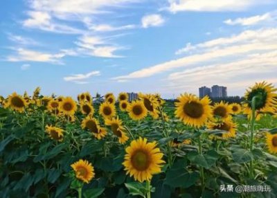 ​安康市内有什么好玩的地方 ，安康市十大旅游景点
