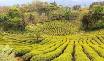​招募旅游体验师，和我们一起探索世界的美