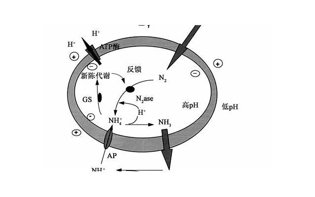 女人泡男人，如何让你的暗恋变成真爱？