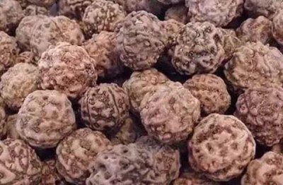 ​文玩小知识：金刚菩提到底怎么刷才是正确的